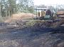 Taree-RoyCrossTimber 045